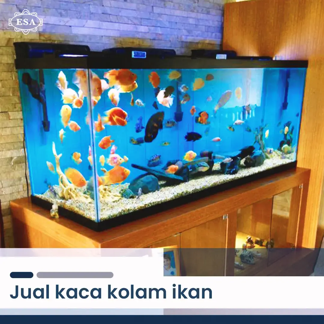 Jual Kaca Kolam Ikan, Berikut Pilihan Kaca Terbaik yang Bisa Kamu Pakai