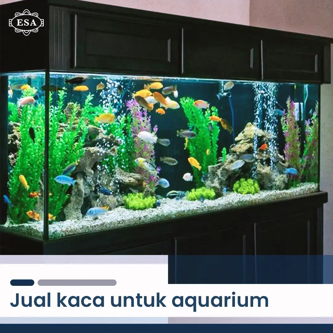 Jual Kaca Untuk Aquarium