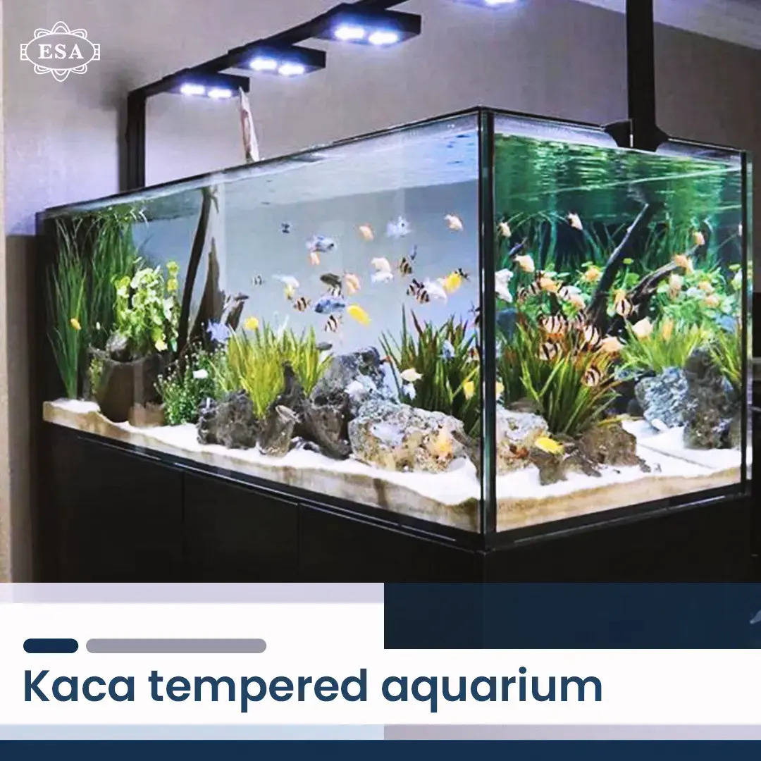 Kaca Tempered Aquarium
