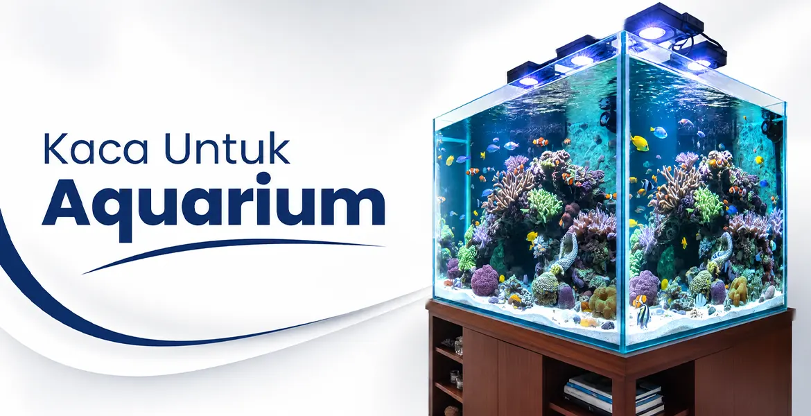 Kaca Untuk Aquarium